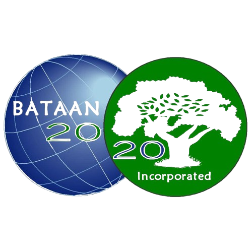 Paper & Pulp Partner